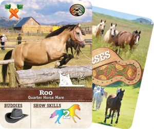 The Horse Collector's Card from Rocking Z Ranch