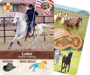 The Horse Collector's Card from White Stallion Ranch