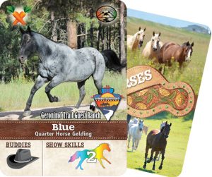 The Horse Collector's Card from Geronimo Trail Ranch