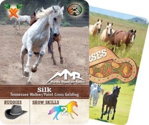 The Horse Collector's Card from Marble Mountain Ranch
