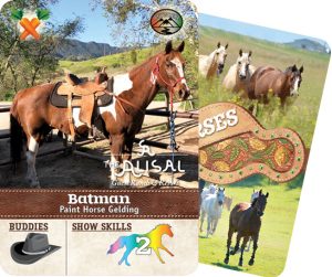 The Horse Collector's Card from The Alisal Ranch