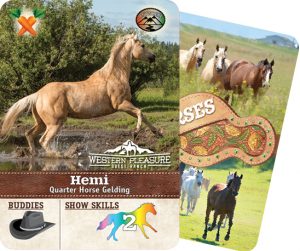 The Horse Collector's Card from Western Pleasure Ranch