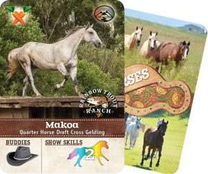 The Horse Collector's Card from Rainbow Trout Ranch